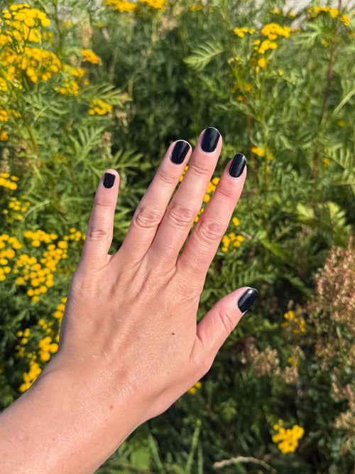 Black Velvet