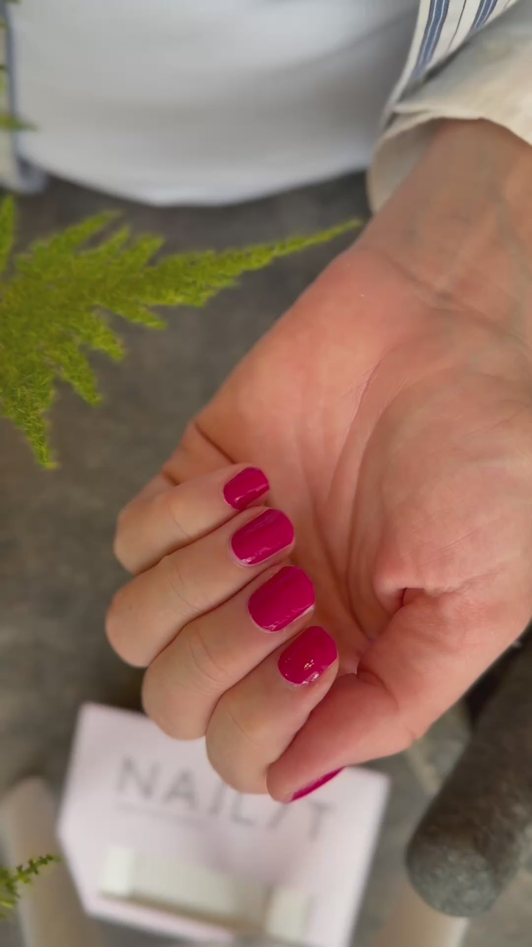 Poppy Pink